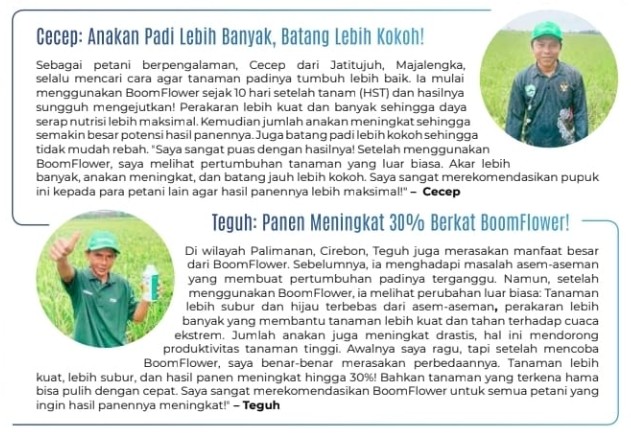 BoomFlower membantu hasil meningkat