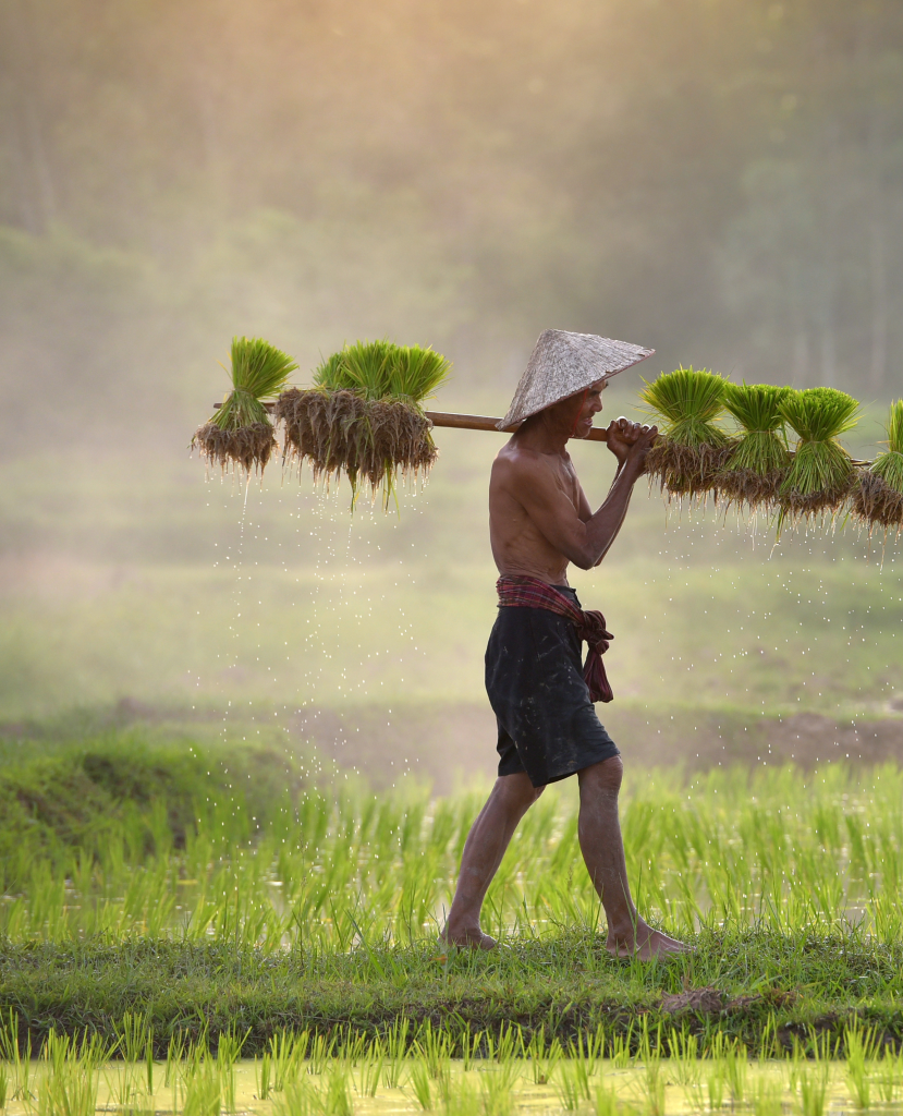 Desain tanpa judul (9)